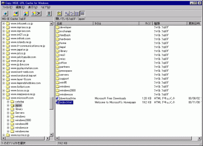 Copy MSIE URL Cache の画面